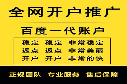 竞价开户推广成功案例解析